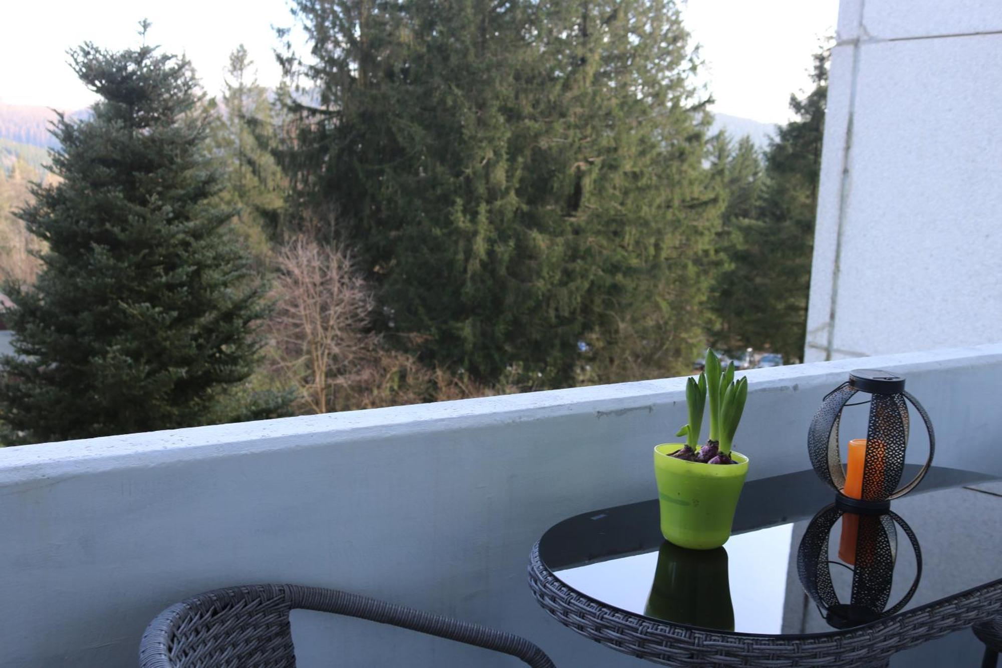 Natur Suite Goslar Esterno foto